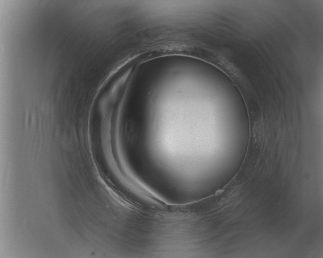 X0000067520722200604211816