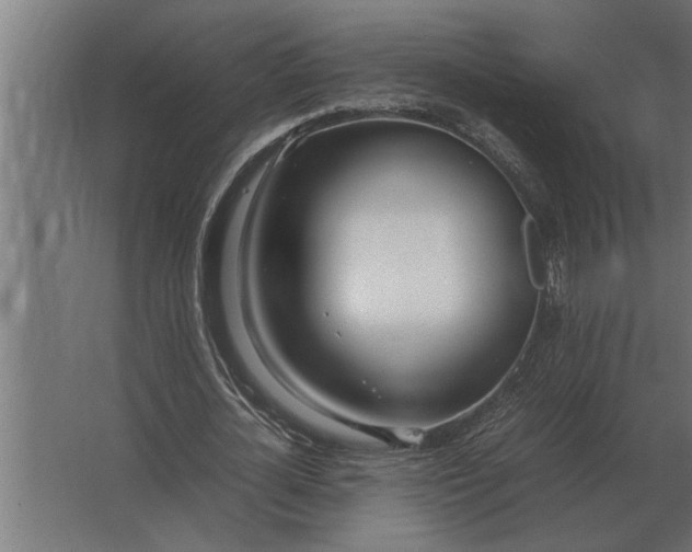 X0000067520724200604211816