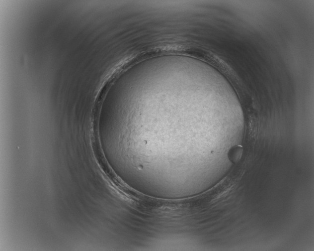 X0000067520725200604211816