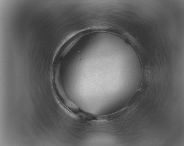 X0000067520726200604211816