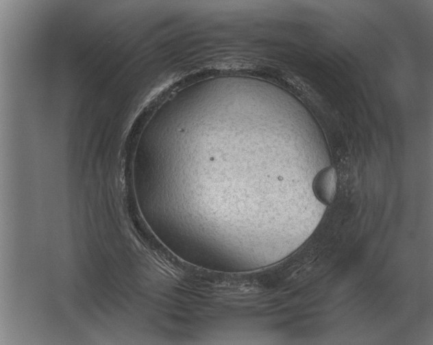 X0000067520727200604211816