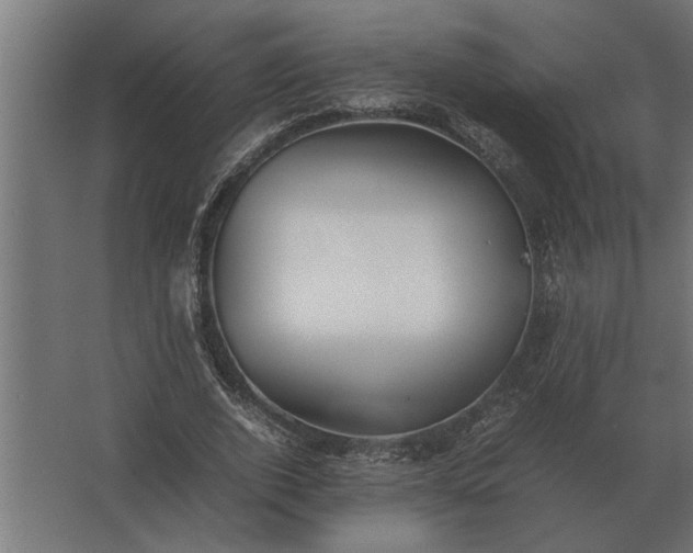 X0000067520728200604211816