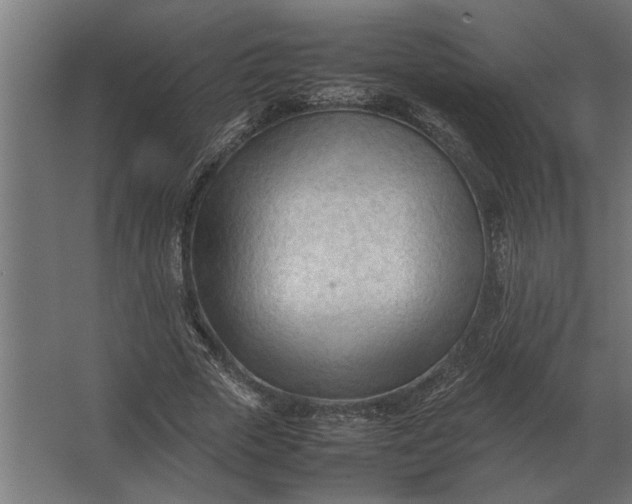 X0000067520729200604211816