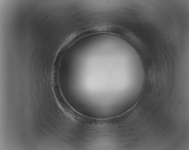 X0000067520730200604211816