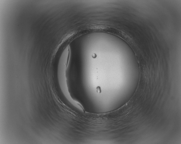 X0000067520731200604211816