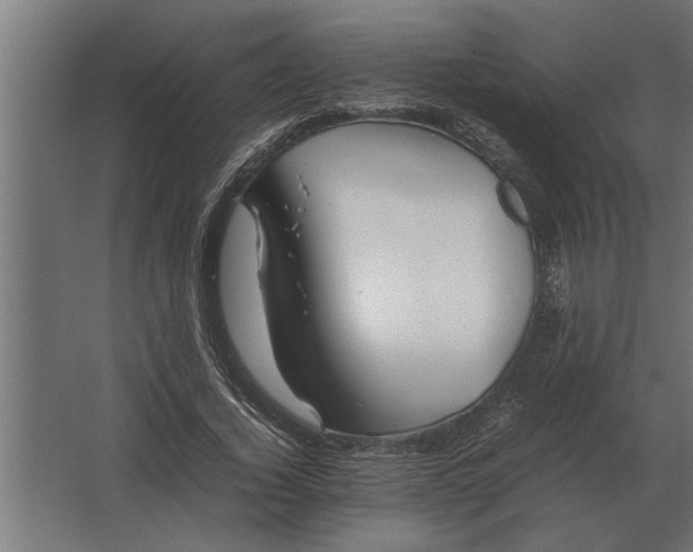 X0000067520732200604211816