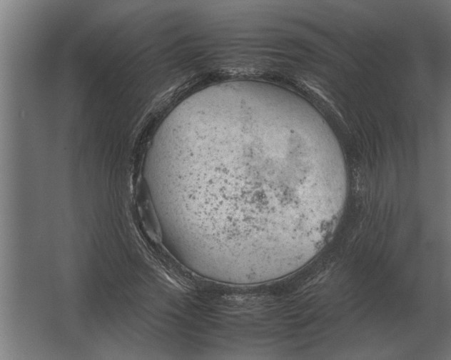 X0000067520733200604211816