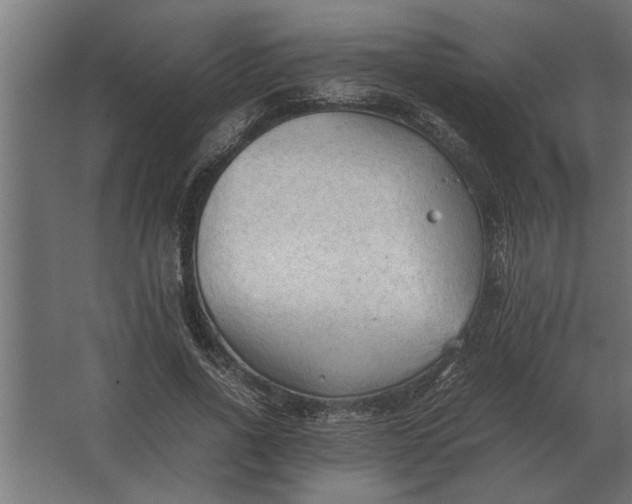 X0000067520734200604211816