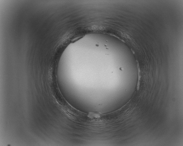 X0000067520735200604211816