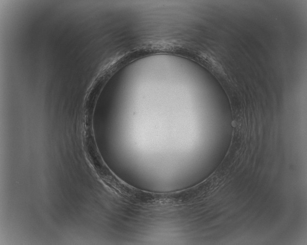 X0000067520736200604211816