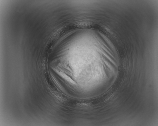 X0000067520737200604211816