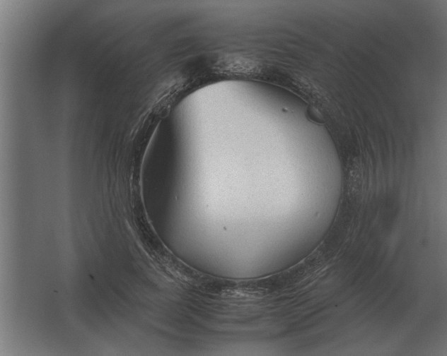 X0000067520739200604211816