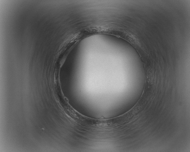 X0000067520740200604211816