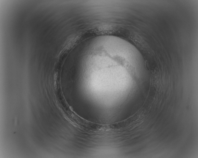 X0000067520742200604211816