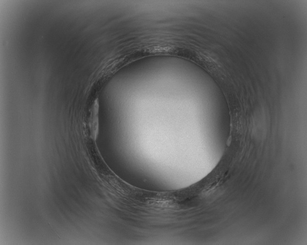 X0000067520743200604211816