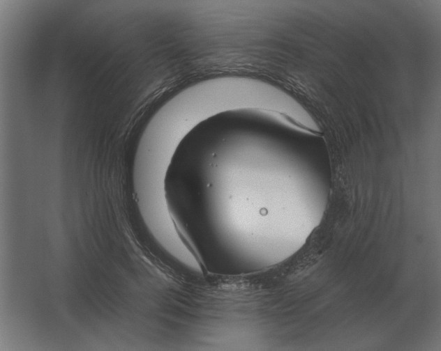 X0000067520744200604211816