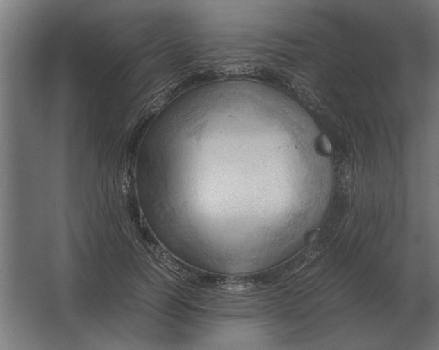 X0000067520746200604211816