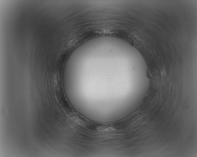 X0000067520747200604211816