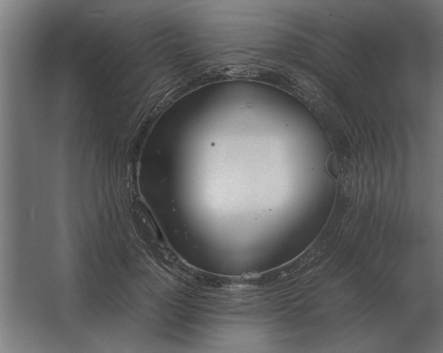 X0000067520748200604211816