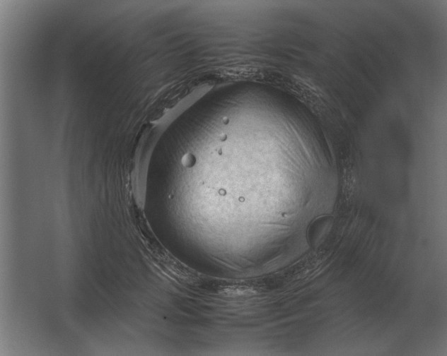 X0000067520749200604211816