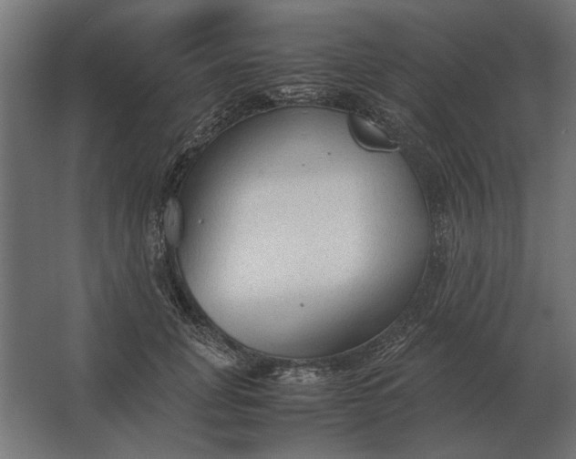 X0000067520751200604211816