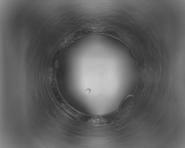 X0000067520752200604211816