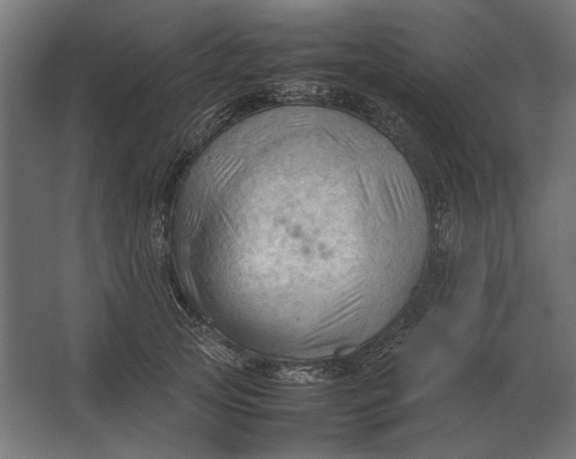 X0000067520753200604211816