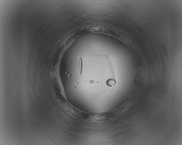 X0000067520754200604211816