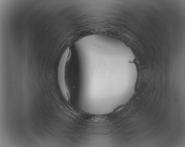 X0000067520756200604211817