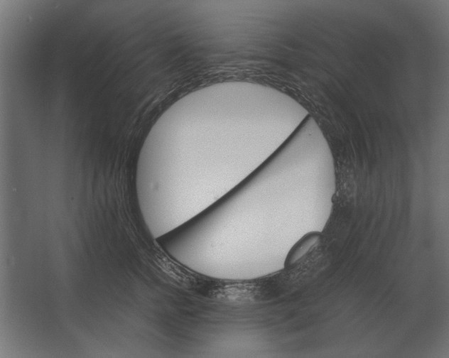 X0000067520758200604211817