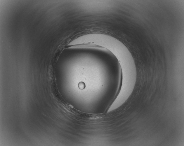 X0000067520760200604211817