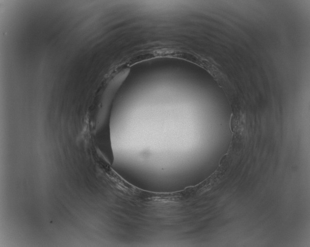 X0000067520763200604211817