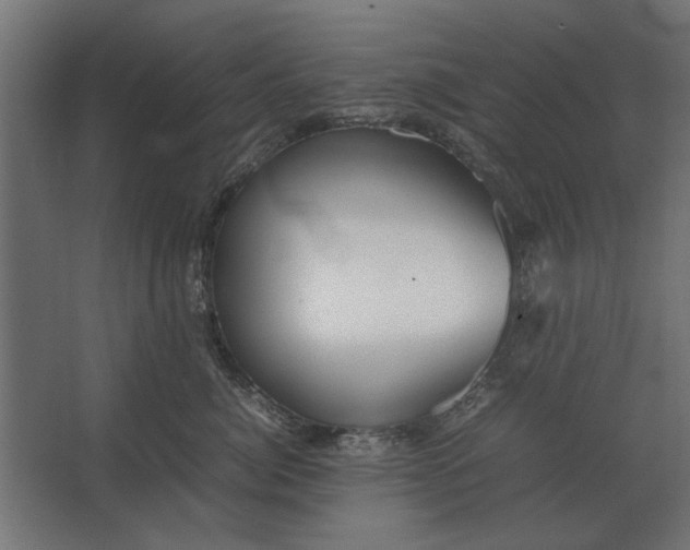 X0000067520764200604211817