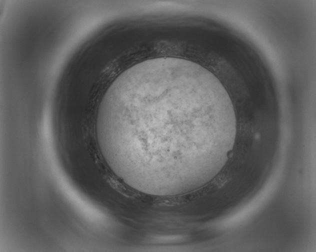 X0000067520765200604211817