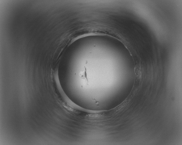 X0000067520766200604211817