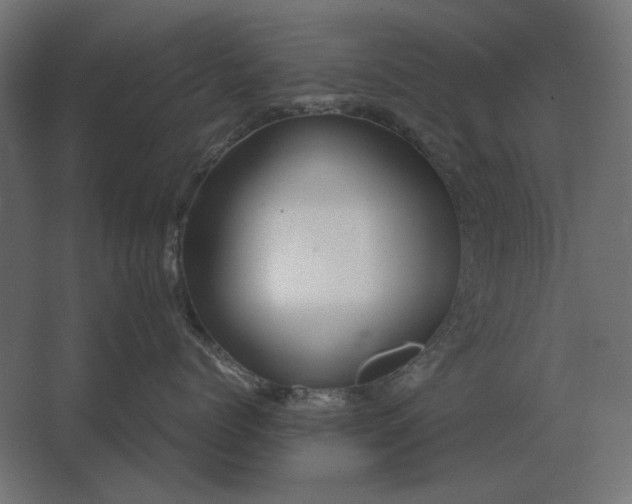 X0000067520768200604211817