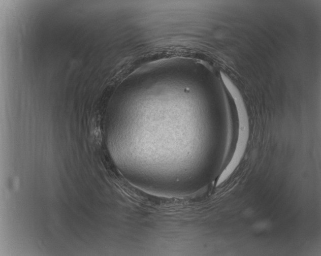 X0000067520771200604211816