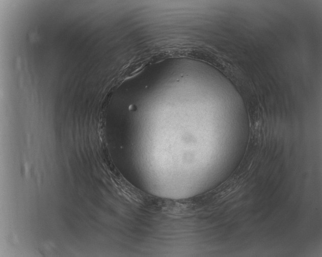 X0000067520772200604211816