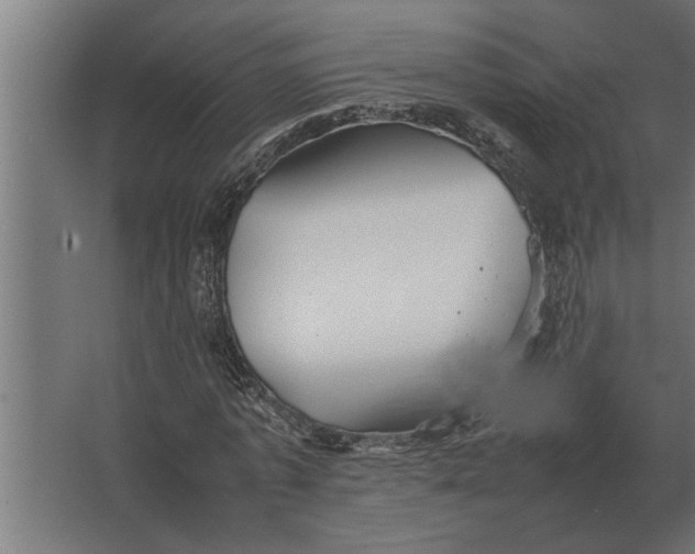 X0000067520773200604211816