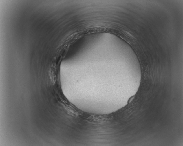 X0000067520774200604211816