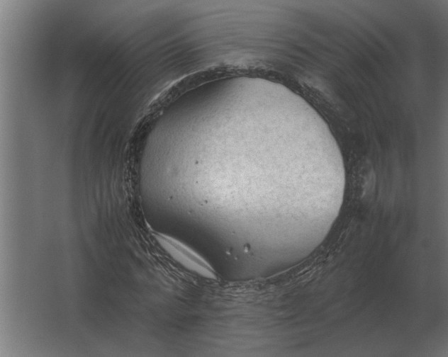 X0000067520776200604211816