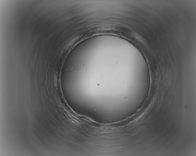 X0000067520777200604211816