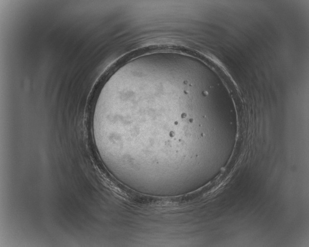 X0000067520783200604211816