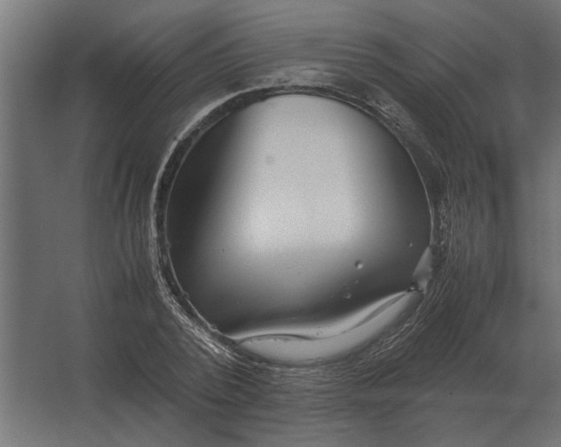 X0000067520784200604211816