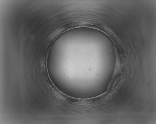 X0000067520785200604211816