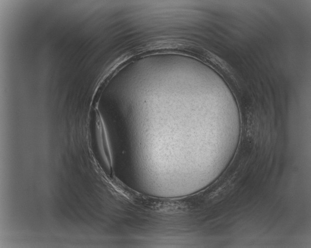 X0000067520786200604211816