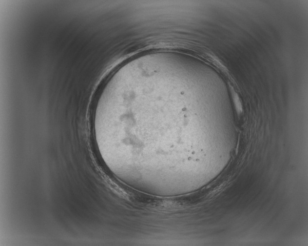 X0000067520787200604211816