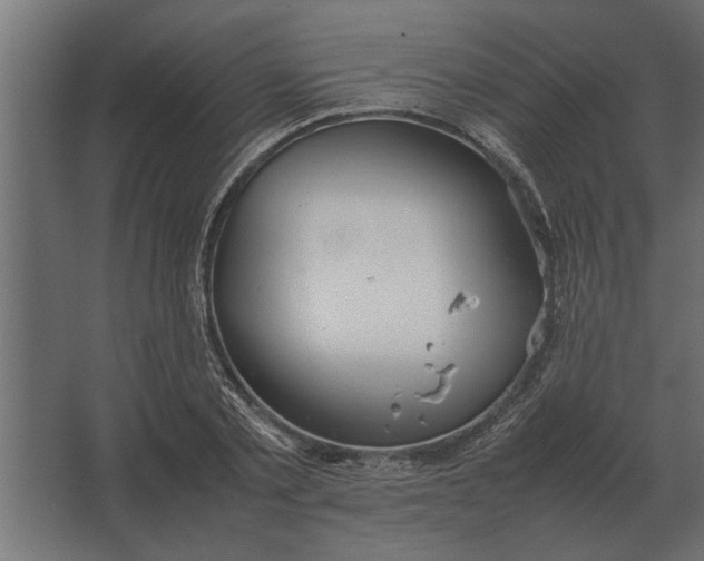 X0000067520789200604211816