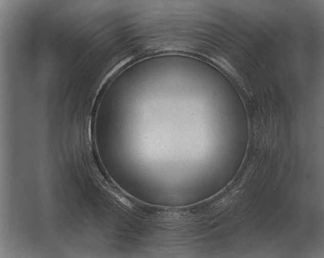 X0000067520790200604211816