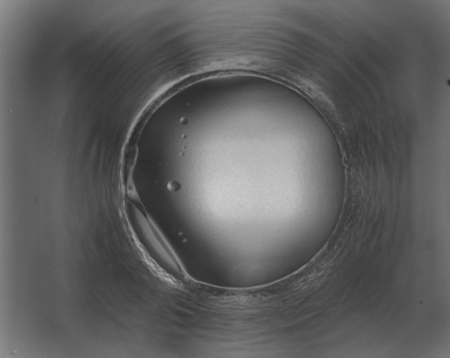 X0000067520792200604211816